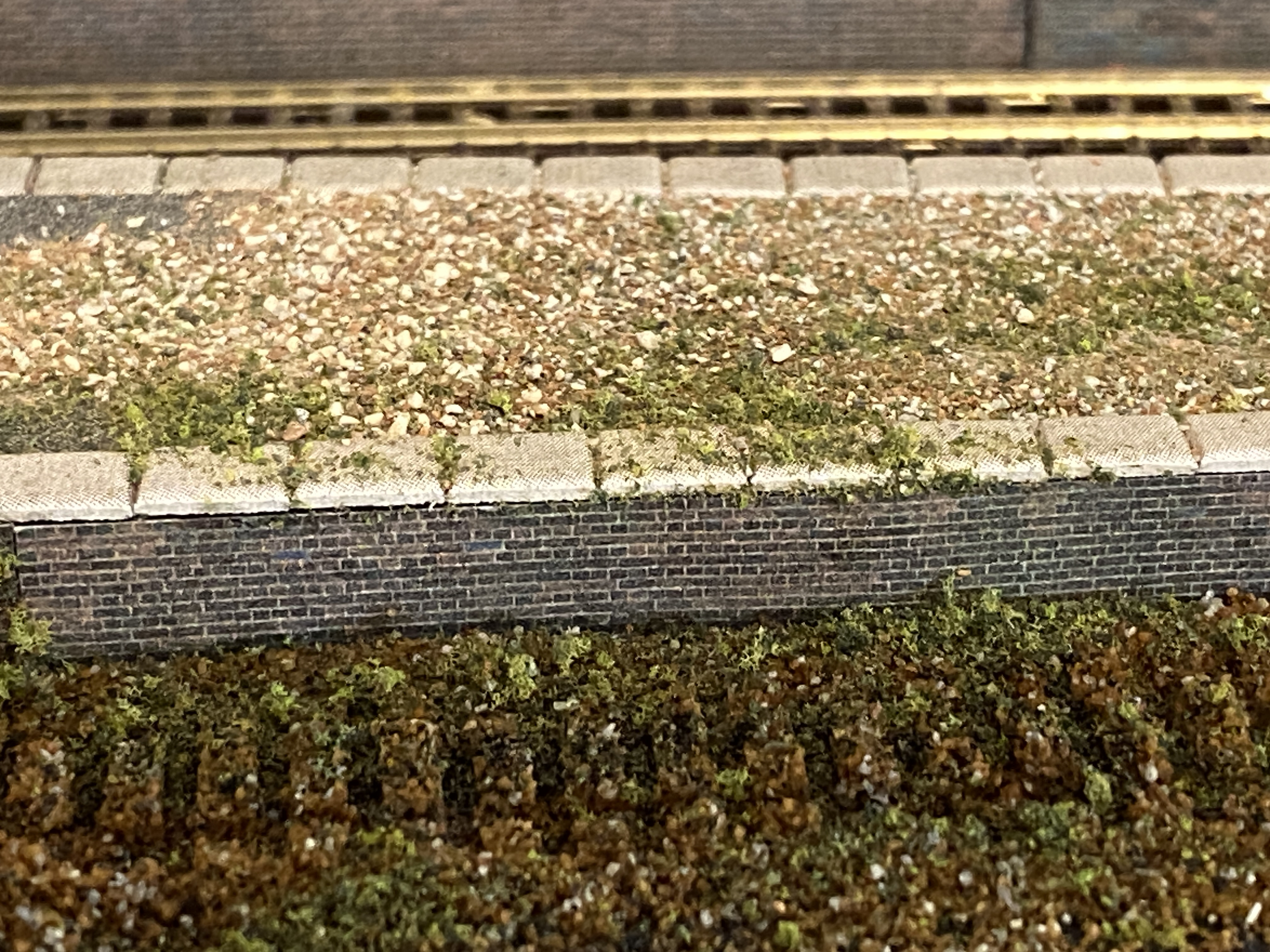 IMG_7982.jpeg