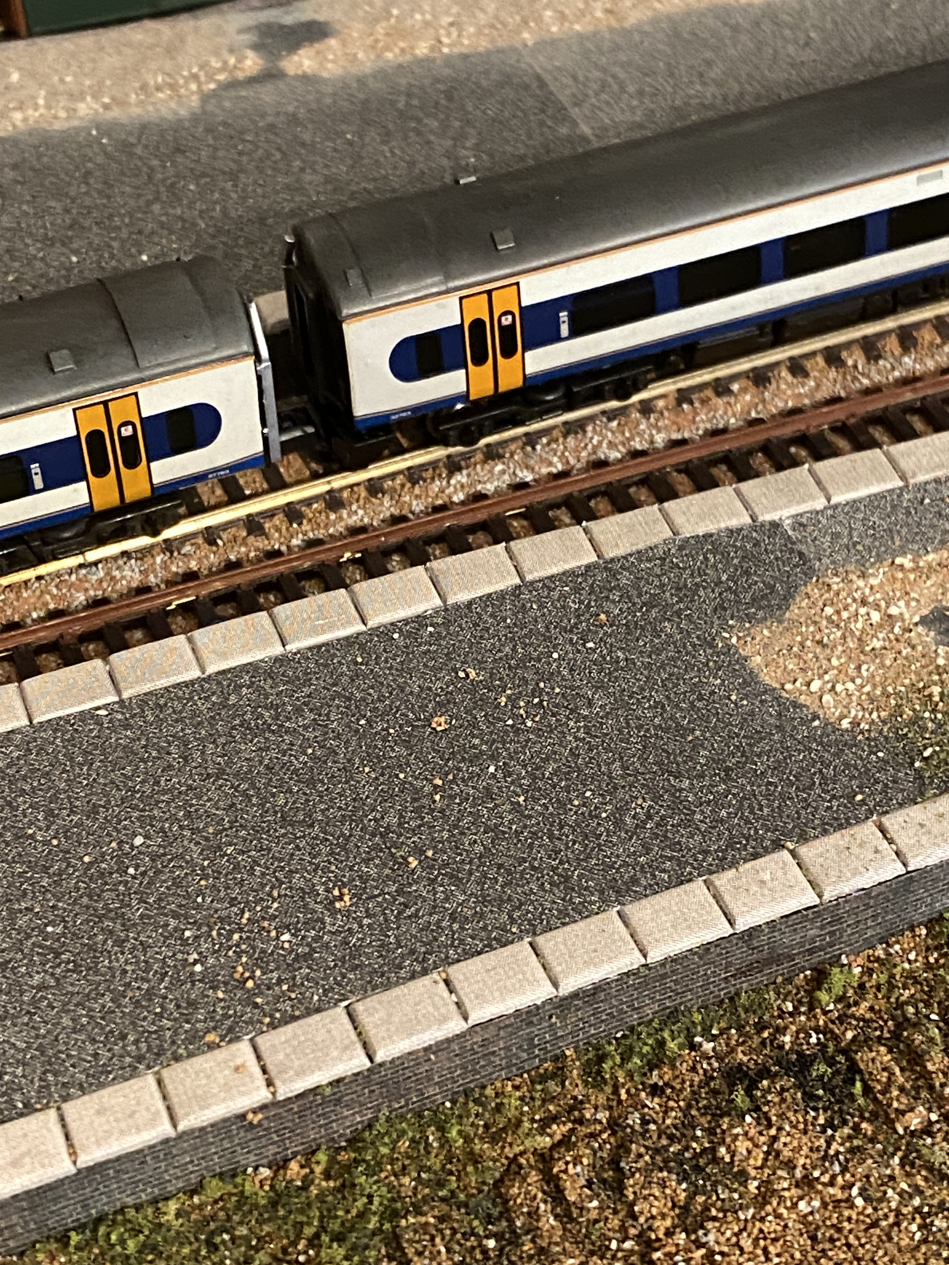 IMG_7997.jpeg
