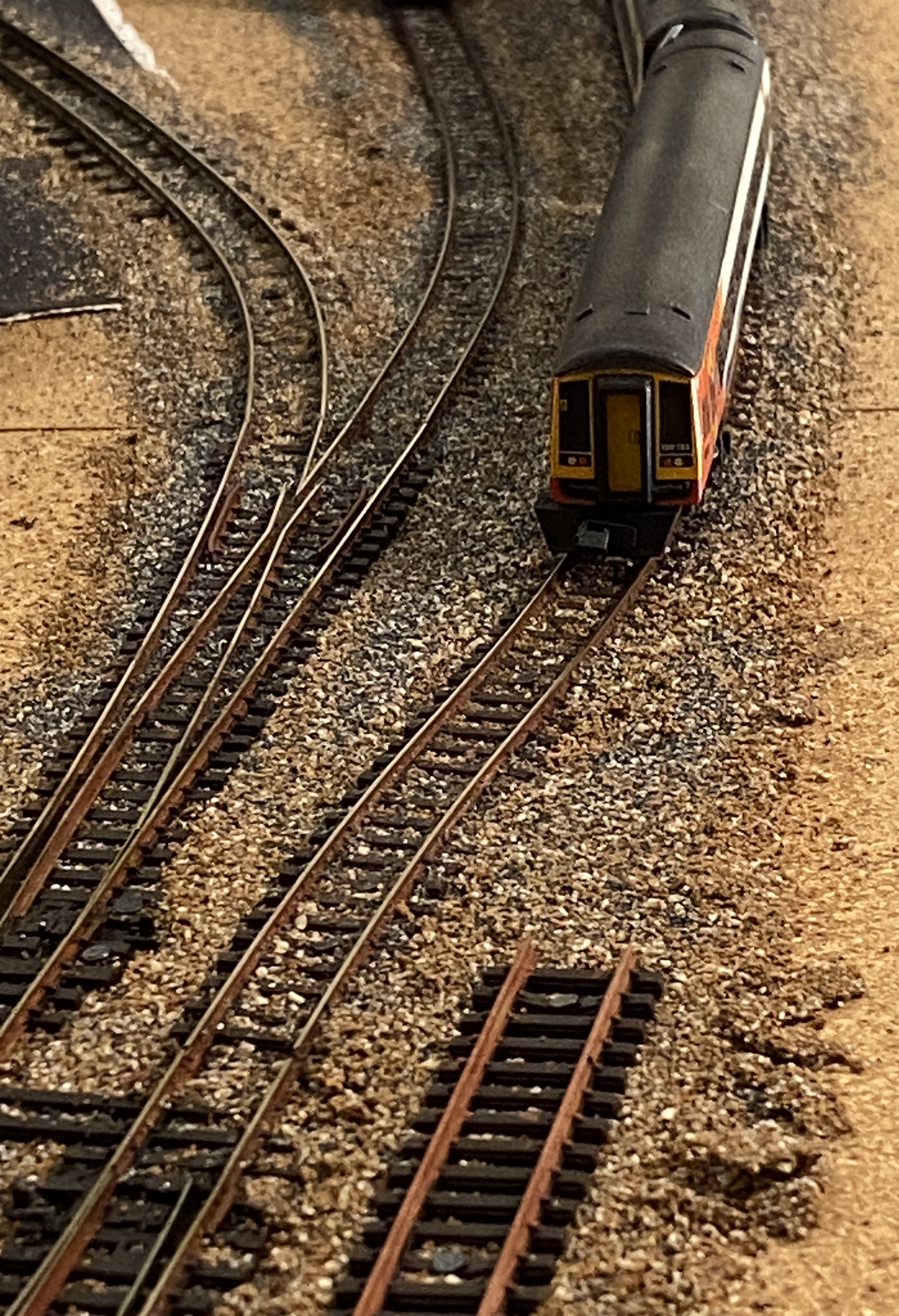IMG_8129.jpeg