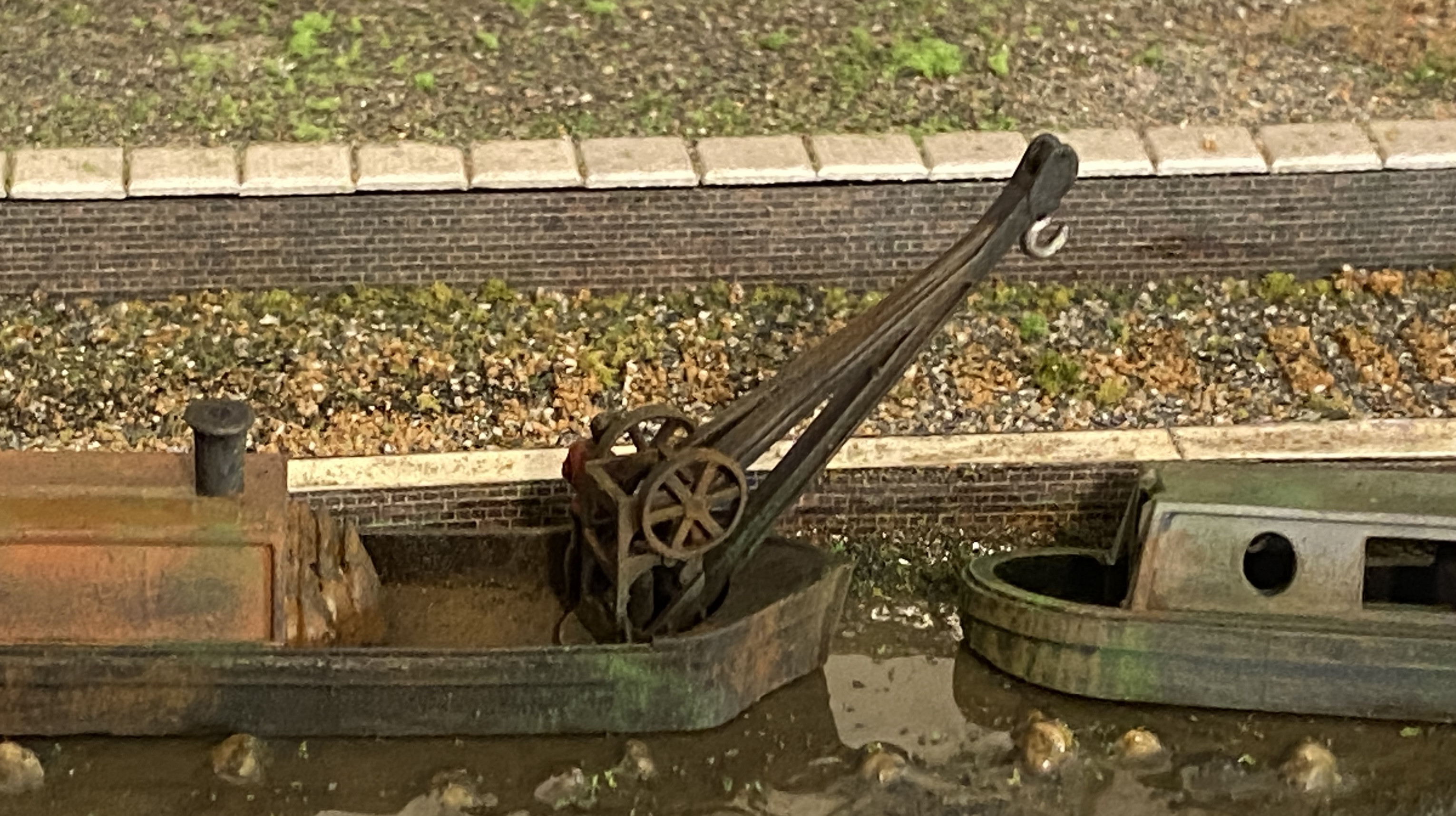 IMG_8147.jpeg
