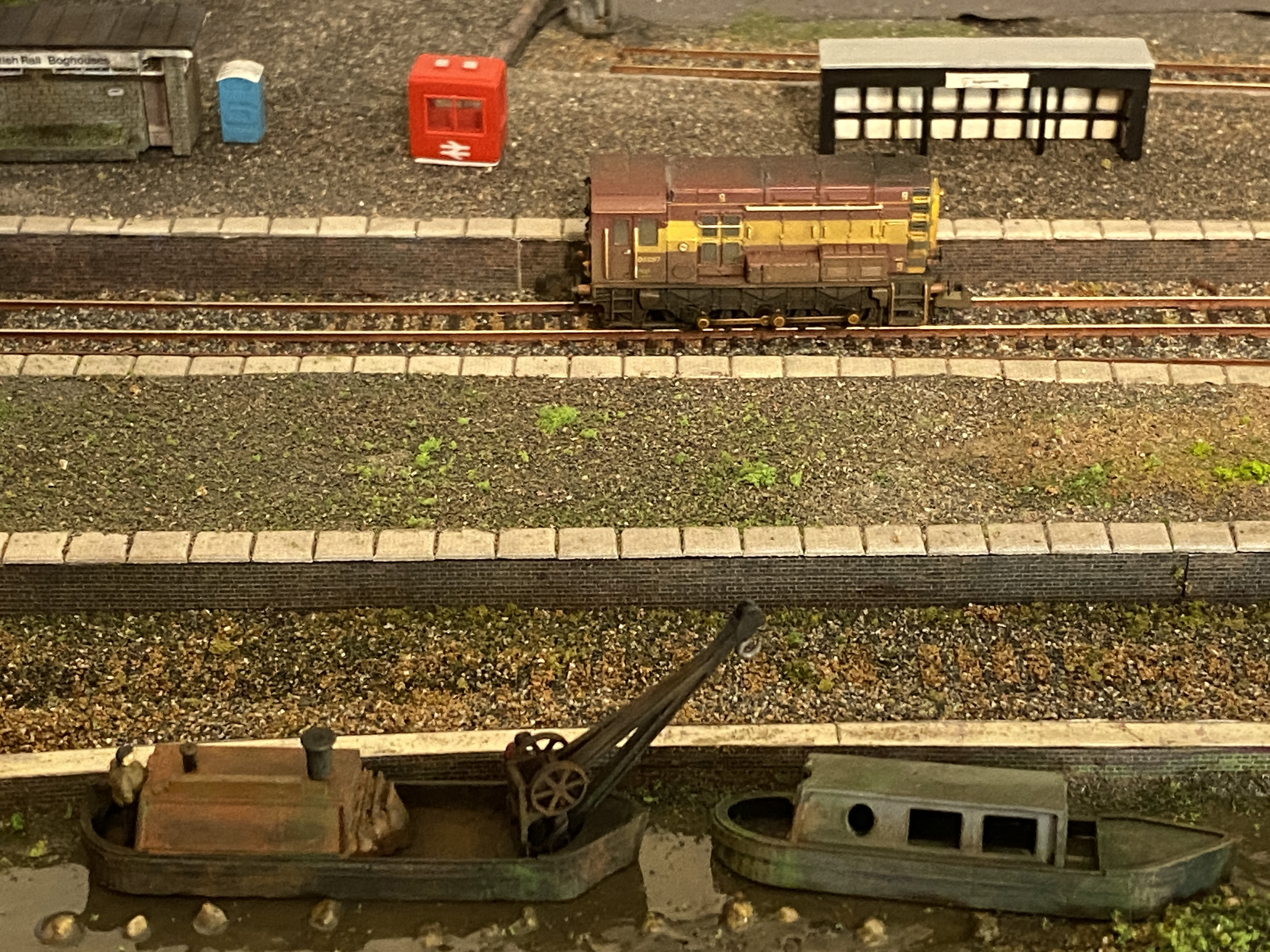 IMG_8149.jpeg