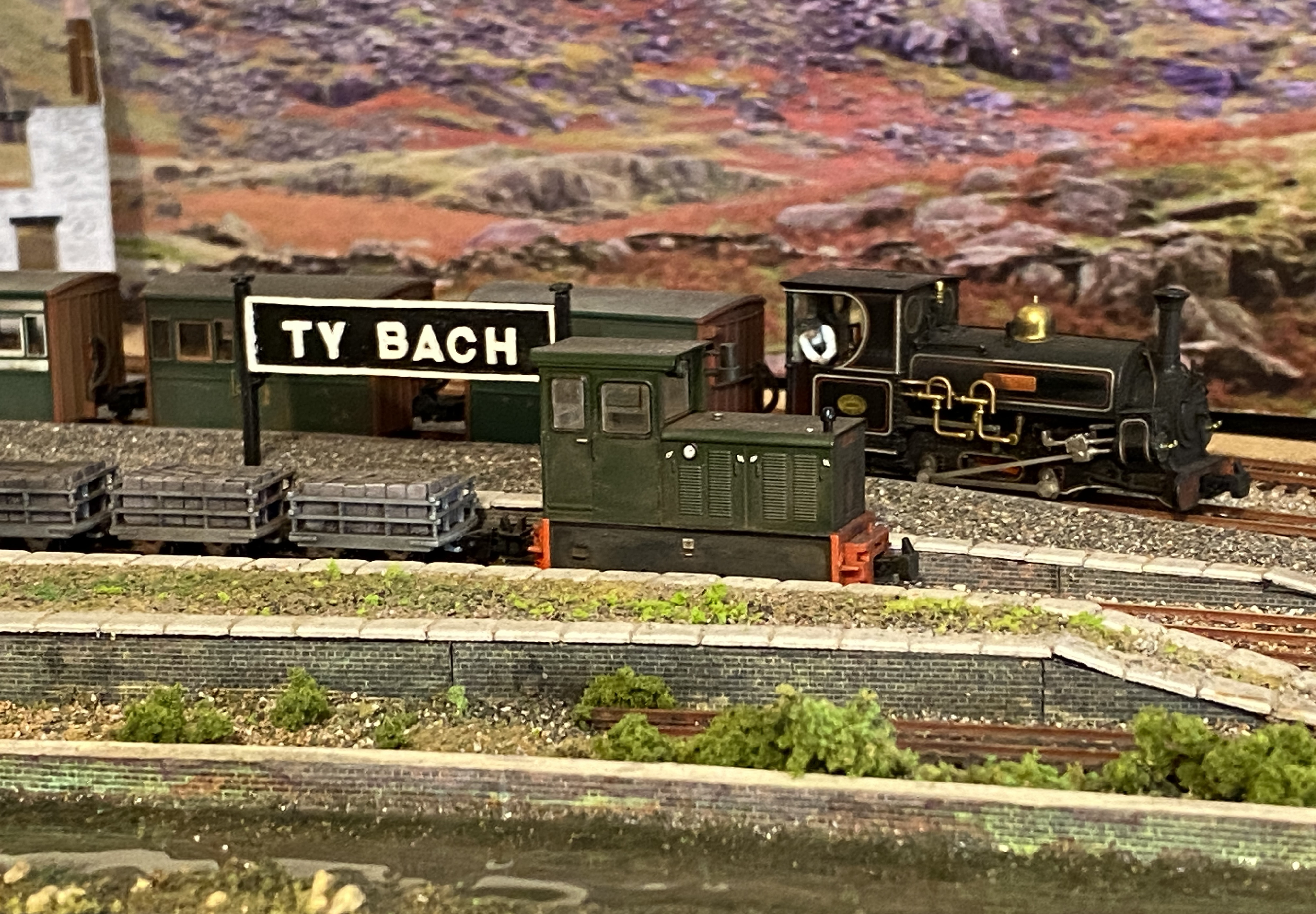 IMG_8291.jpeg