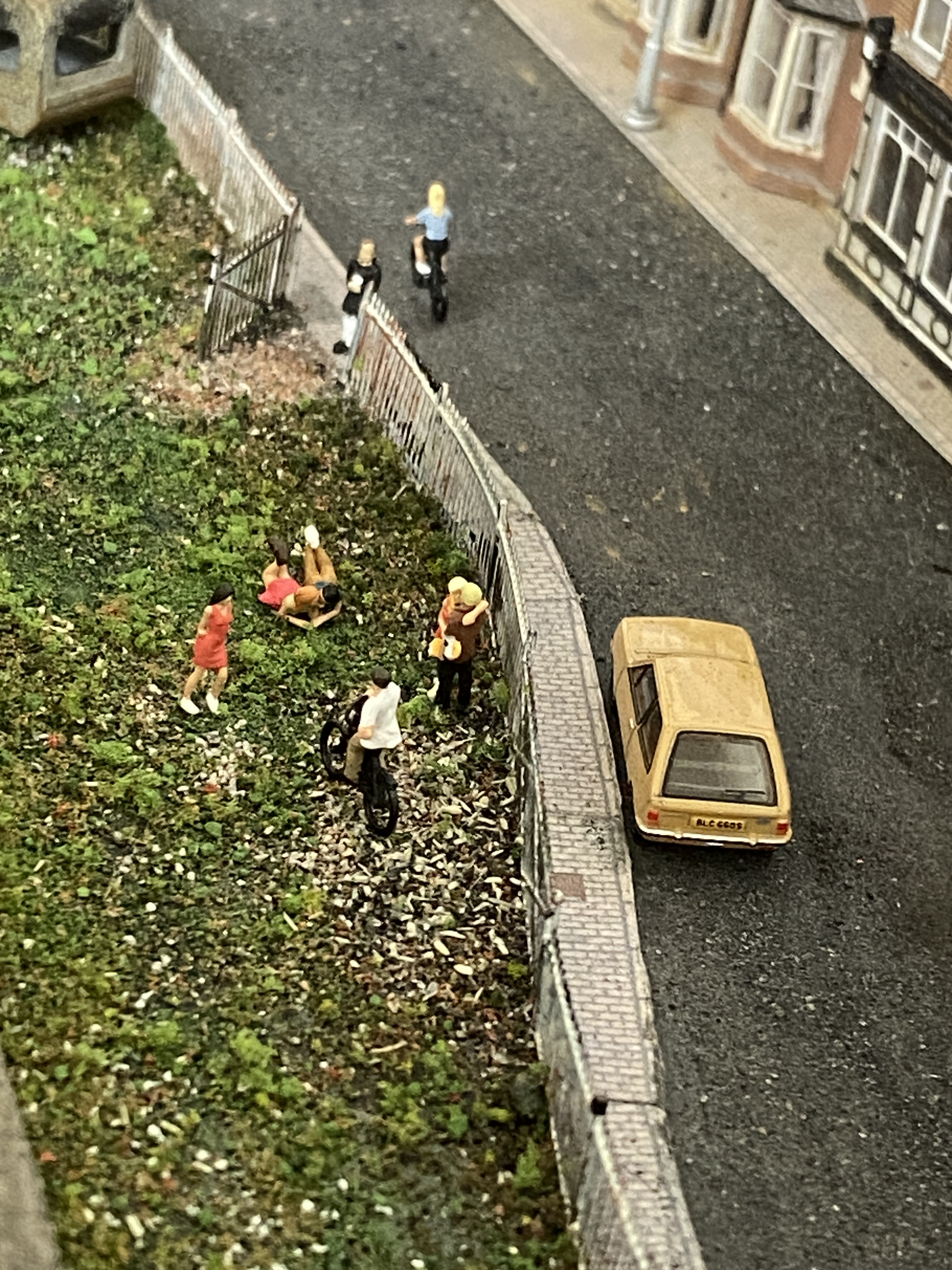 IMG_9172.jpeg