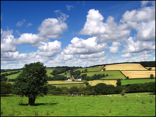Devon countryside
